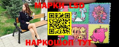 гидра Будённовск
