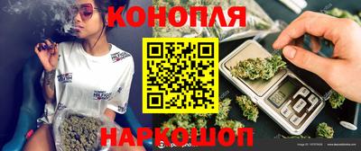гидра Будённовск