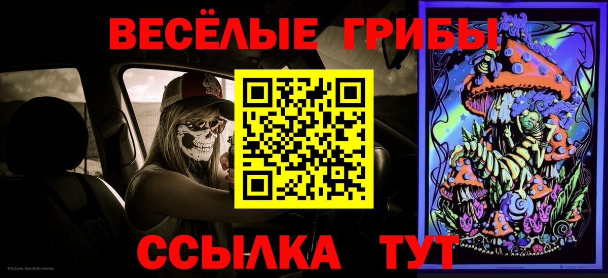 Сегежа  Псилоцибиновые грибы мицелий  Галлюциногенные грибы Cubensis  Вход с VPN 